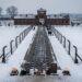 Auschwitz Befreiung 81. Jahrestag des Holocaust-Gedenktags