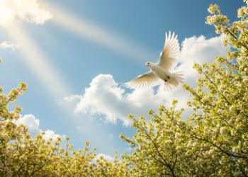 Pfingsten 2026: Datum, Ferien, Brueckentage und Bedeutung