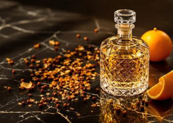 Teuerster Gin der Welt: Das sind die exklusivsten Wacholder-Destillate 2026