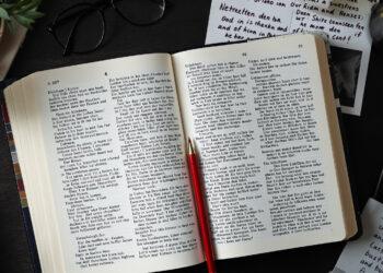 Unwort des Jahres 2025 „Sondervermögen – Jury kritisiert Verschleierung von Schulden