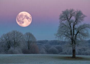 Vollmond Dezember 2025: Datum, Uhrzeit & Sternzeichen-Horoskop