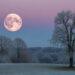 Vollmond Dezember 2025: Datum, Uhrzeit & Sternzeichen-Horoskop 10 Vollmond Dezember 2025: Datum, Uhrzeit & Sternzeichen-Horoskop