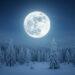 Vollmond Februar 2026: Schneemond am 1. Februar – Uhrzeit 10 Vollmond Februar 2026: Schneemond am 1. Februar – Uhrzeit