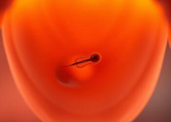 ab wann schwangerschaftstest positiv nach eisprung