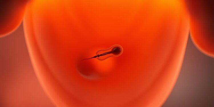 ab wann schwangerschaftstest positiv nach eisprung