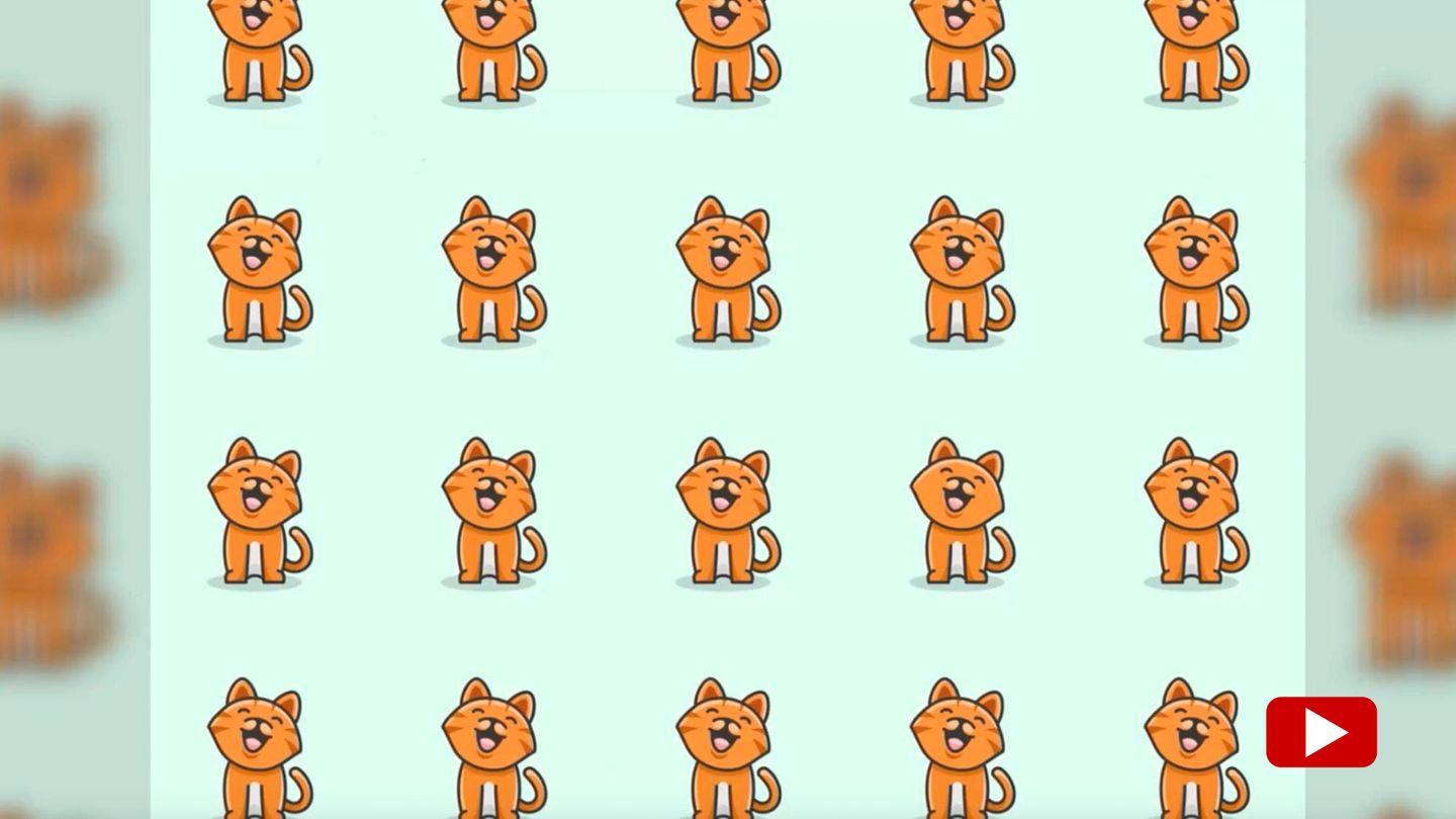 Kniffliges Suchbild: Augentest: Welche süße Katze sticht aus der Gruppe heraus?