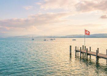 nati trainer fischer