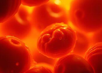 gamma-gt werte ab wann gefährlich