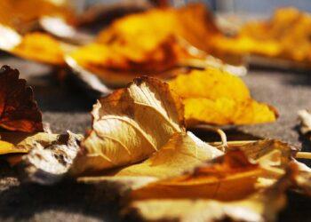 hypothek verlängern