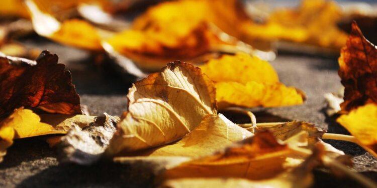 hypothek verlängern