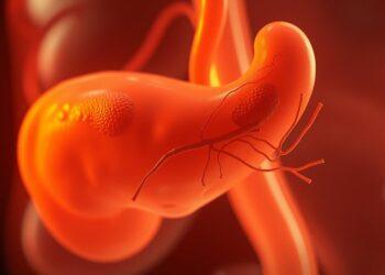 lipase erhöht ab wann gefährlich