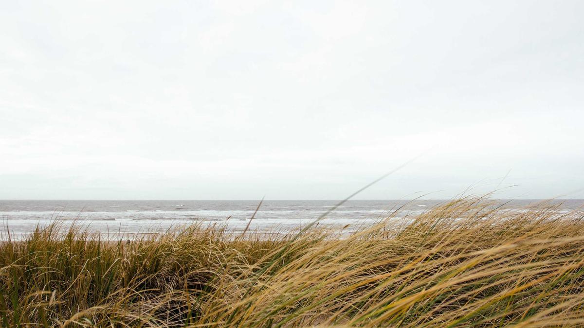 Auftragsplus Jahresende