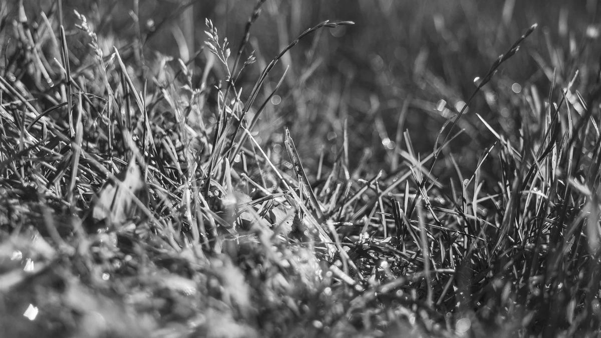 Automatisierte Drohne Automatisierte Drohne