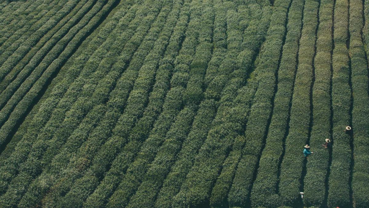 Block Prozess Block Prozess