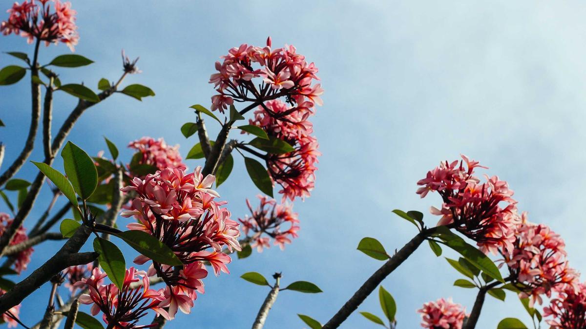 Gerichtsverfahren Kündigung