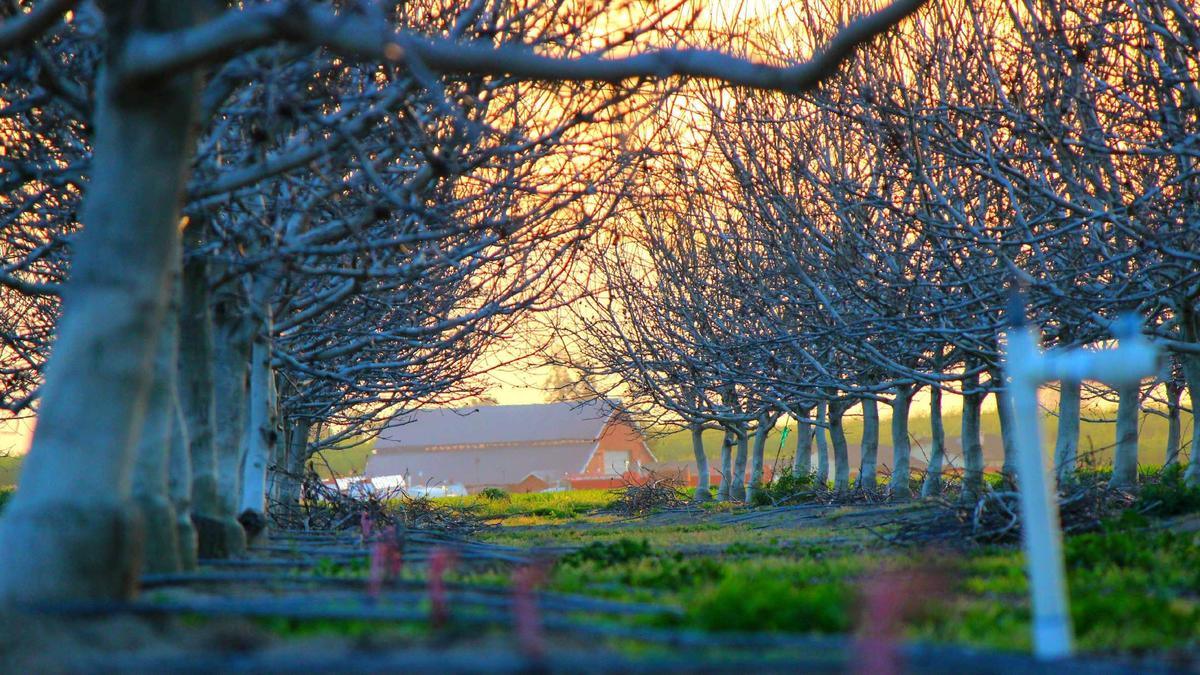 Heiligkreuzsteinach Rhein