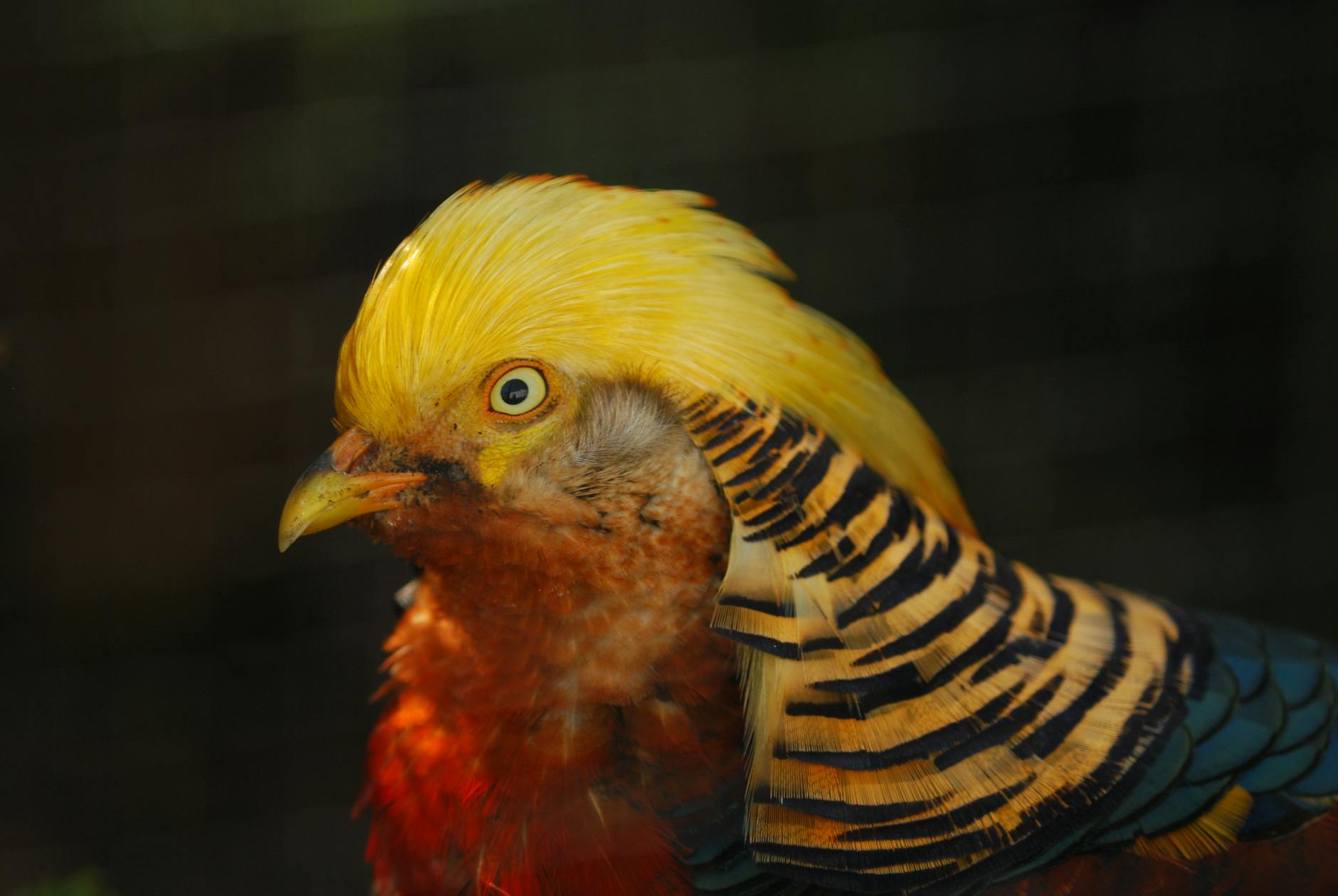 Individualbesteuerung Schweiz