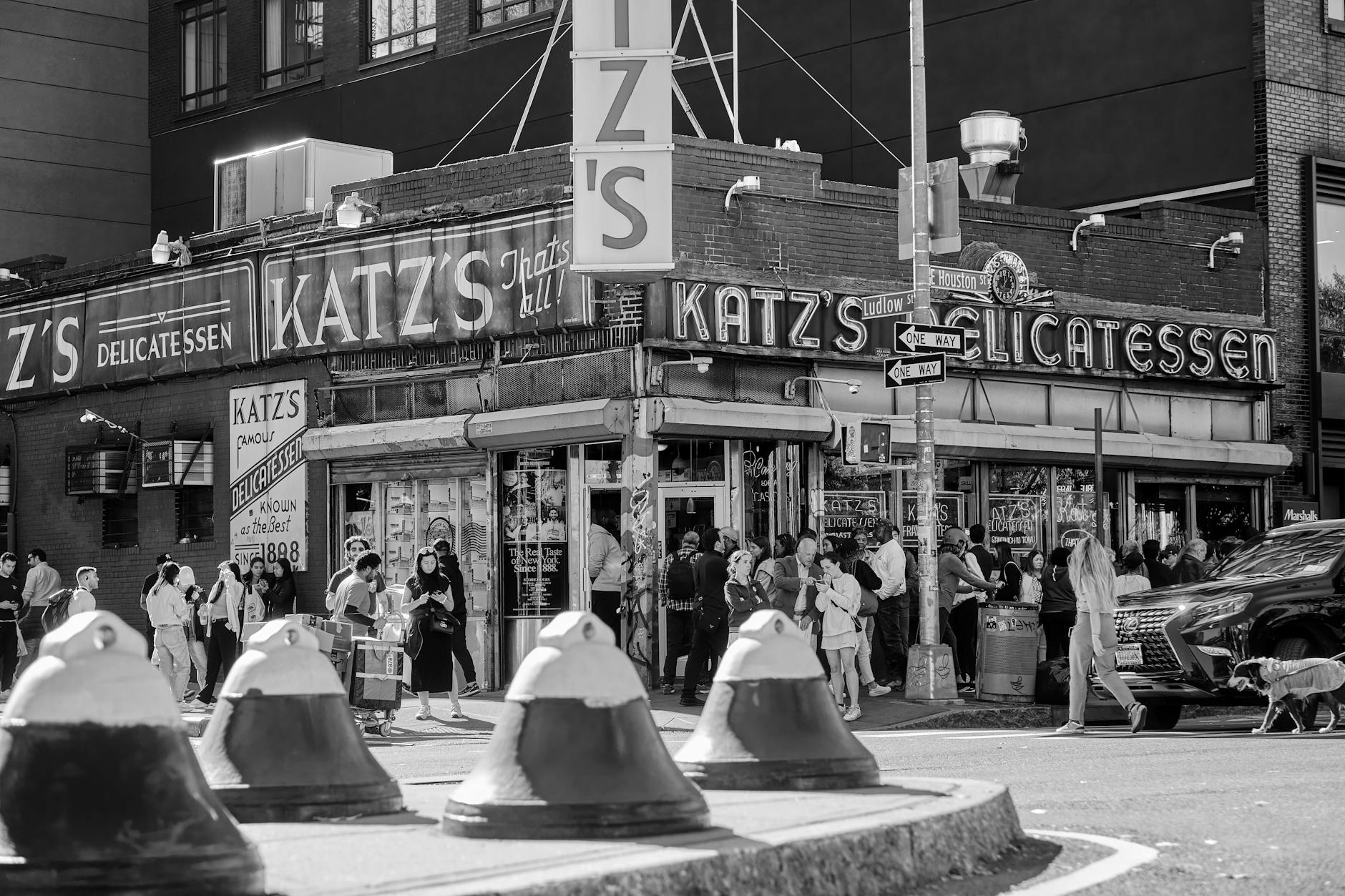 Katze Alleine Lassen