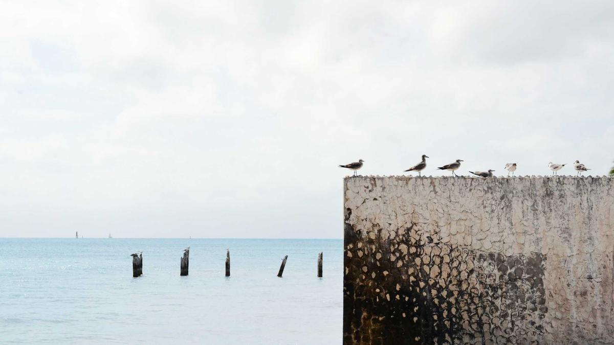 Prozesstag Mutmaßlicher Prozesstag Mutmaßlicher