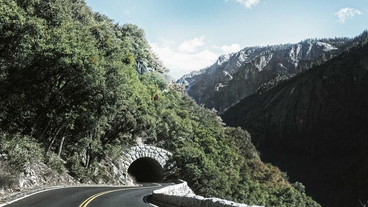 Reform Scheidungsrechts Reform Scheidungsrechts