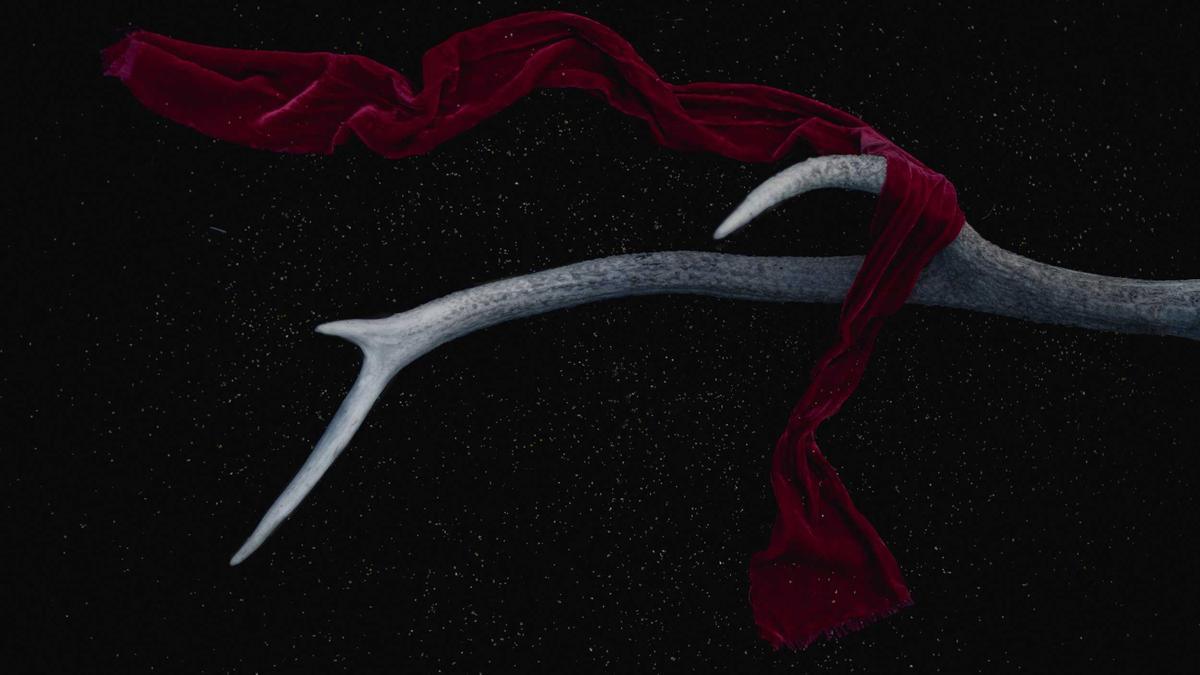 Telekommunikation Apple