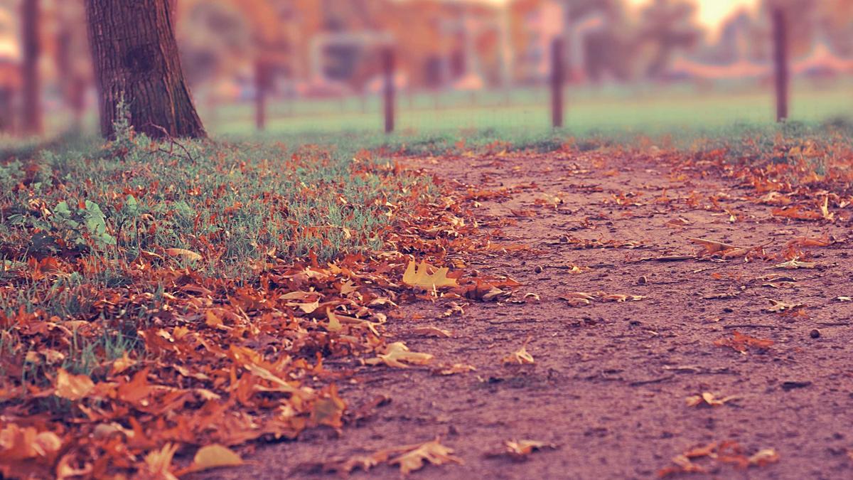 Illustration zu 1. FC Nürnberg