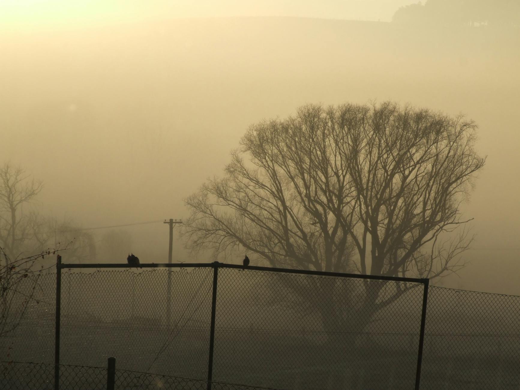 12H Bathurst 2026 Symbolbild zum Thema 12H Bathurst 2026