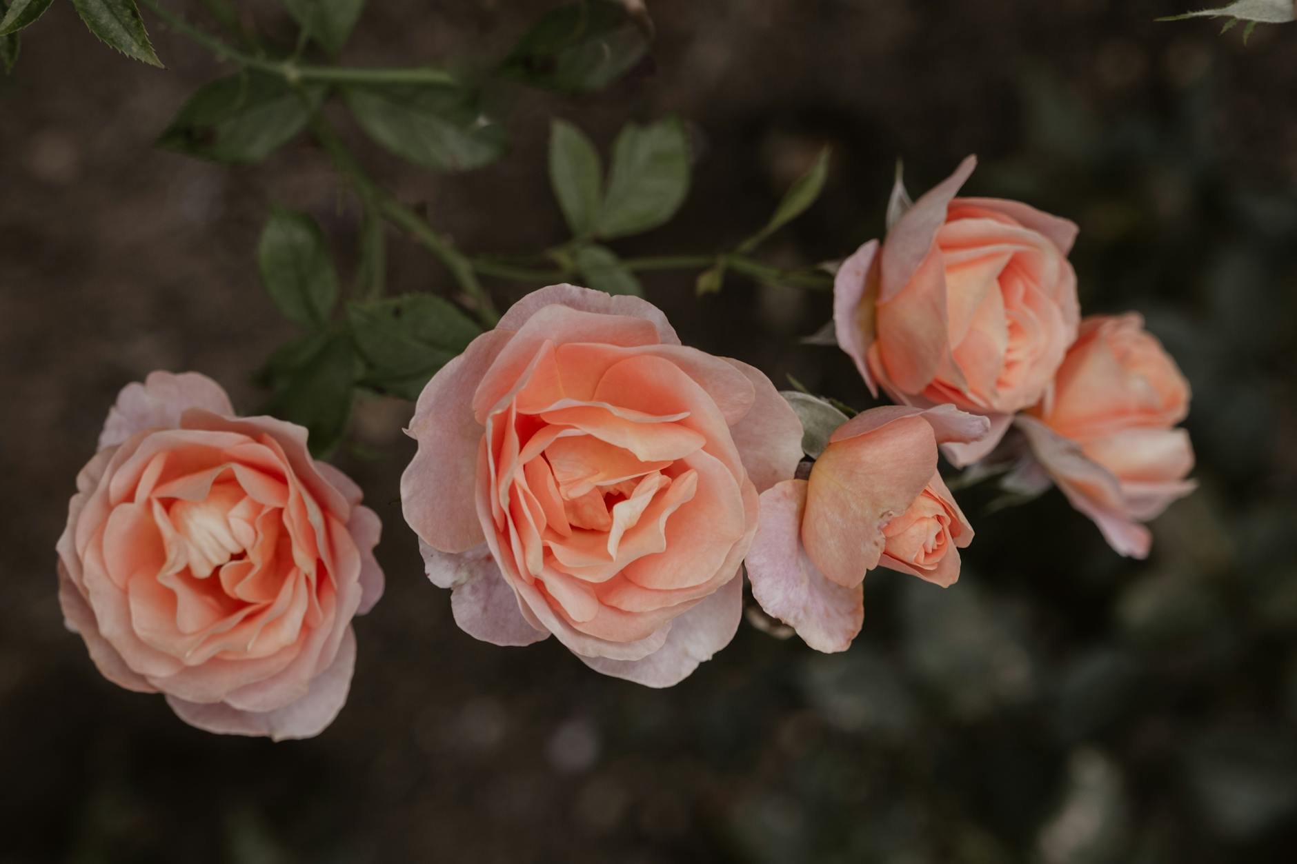 Illustration zu Abfall Deutschland Schweiz