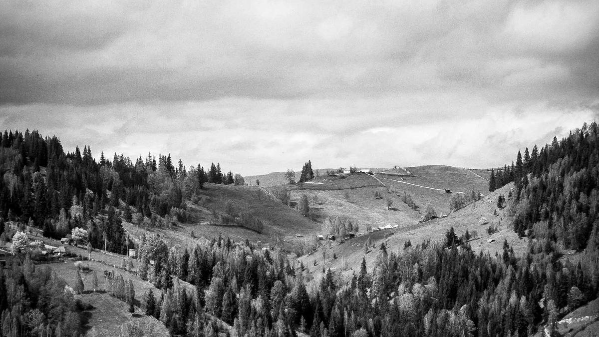 Action Komödie TV Symbolbild zum Thema Action Komödie TV