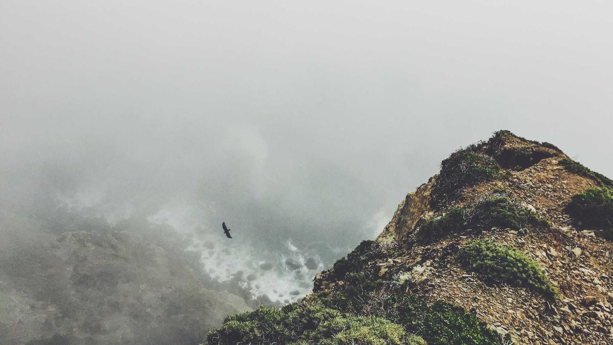 Illustration zu AFD Niedersachsen