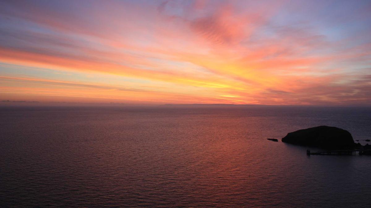 Detailansicht: AFD Umfragewerte