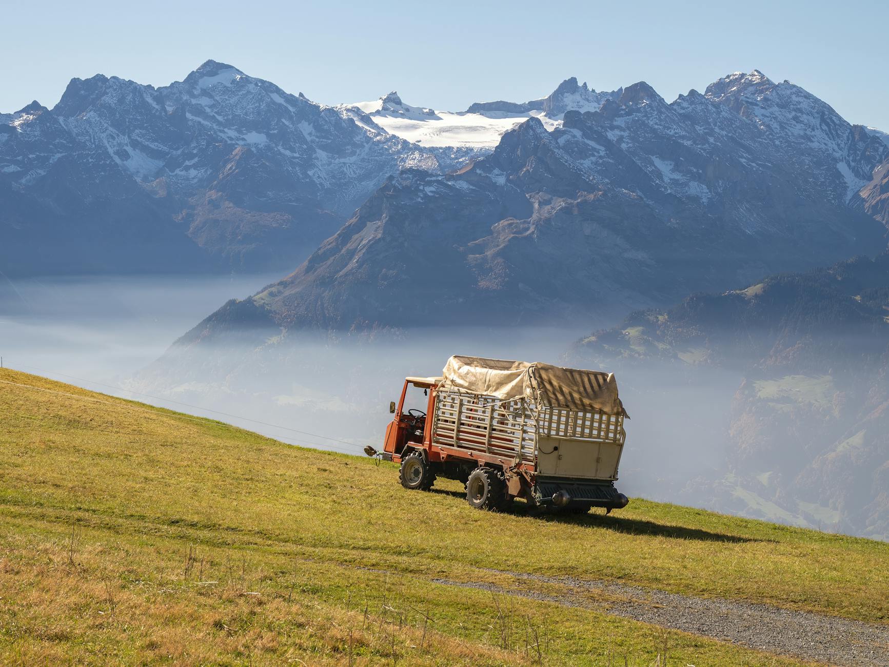 Agrardiesel Preise Detailansicht: Agrardiesel Preise