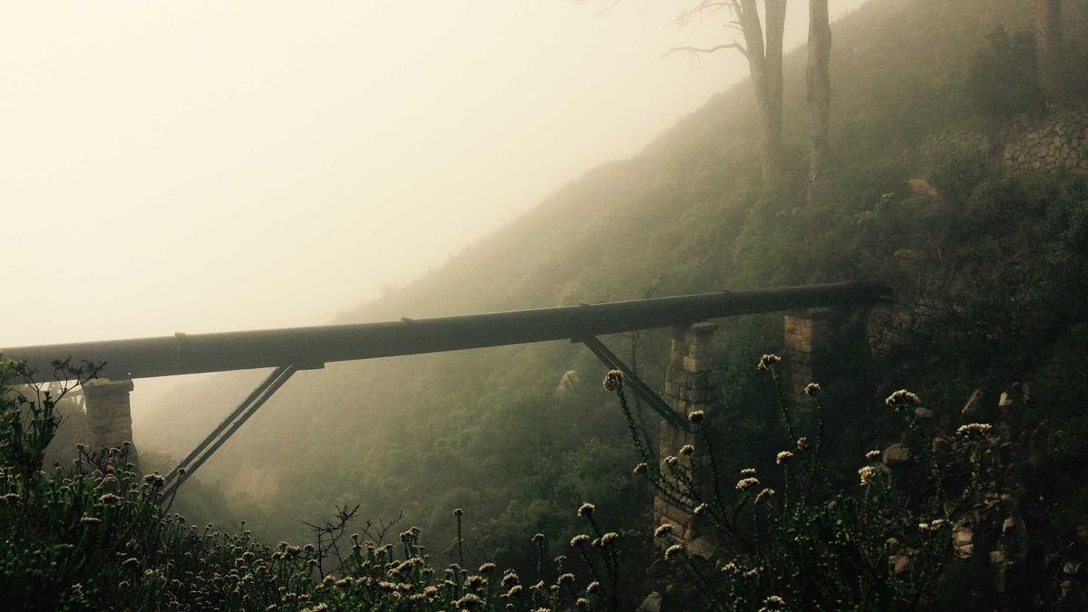 Aktionsplan Rechtsextremismus