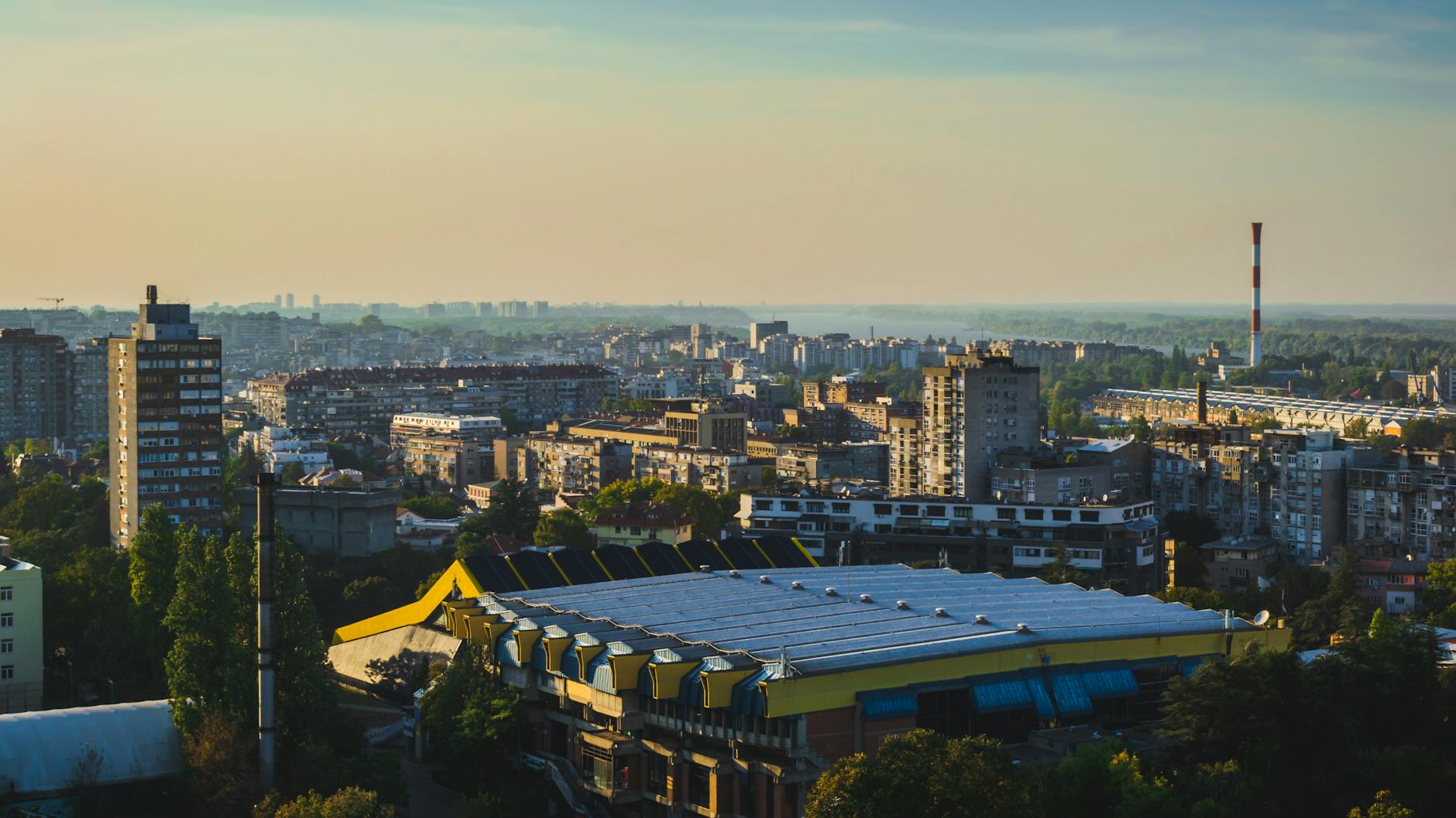 Aleksandar Pavlovic Illustration zu Aleksandar Pavlovic