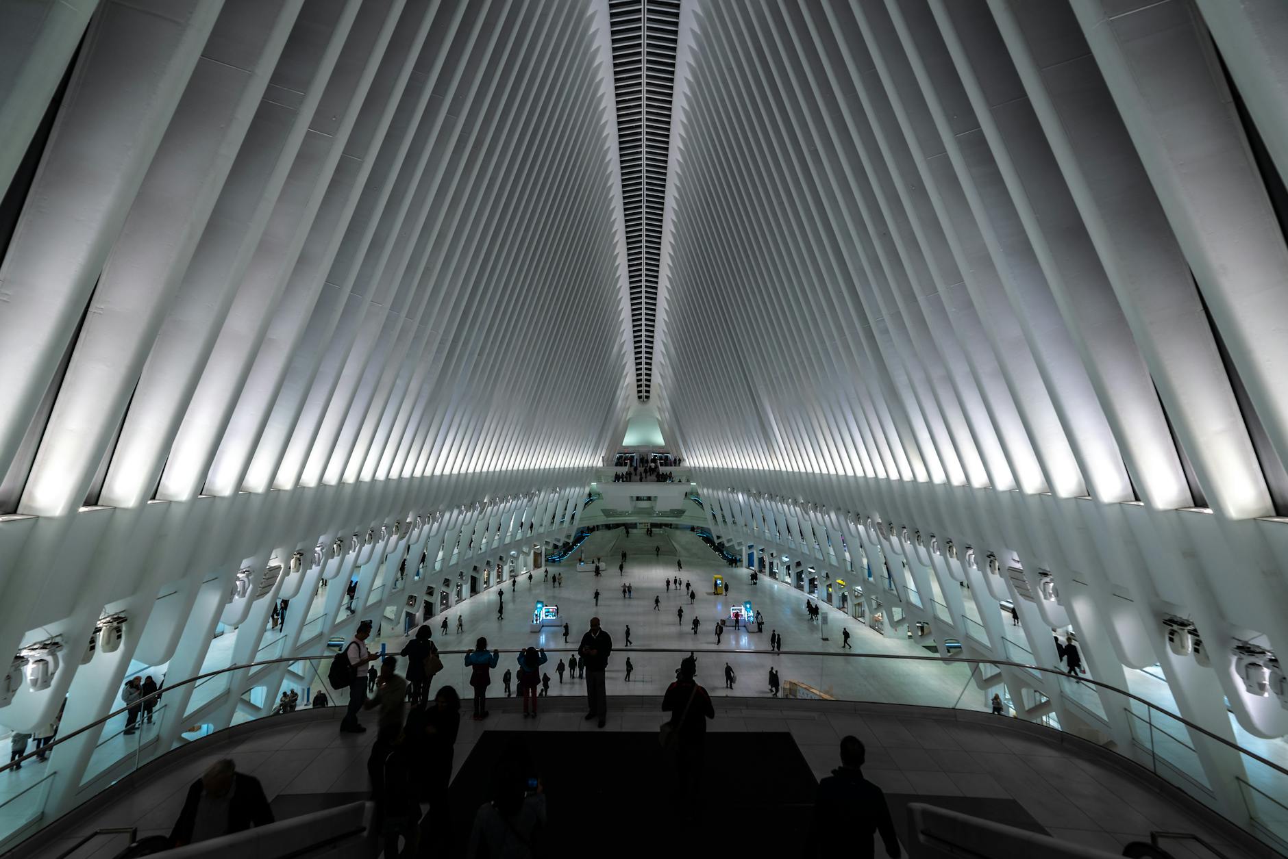 Symbolbild zum Thema Alex Hall