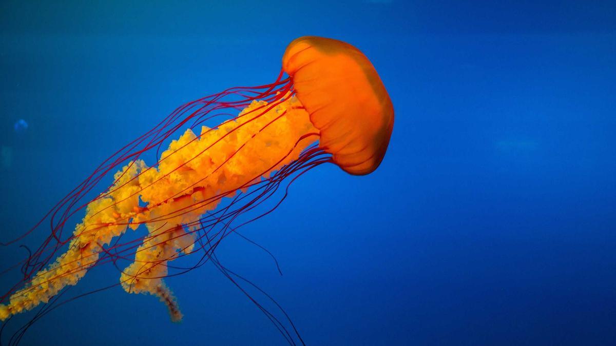 Detailansicht: Alkoholfahrt Aalen