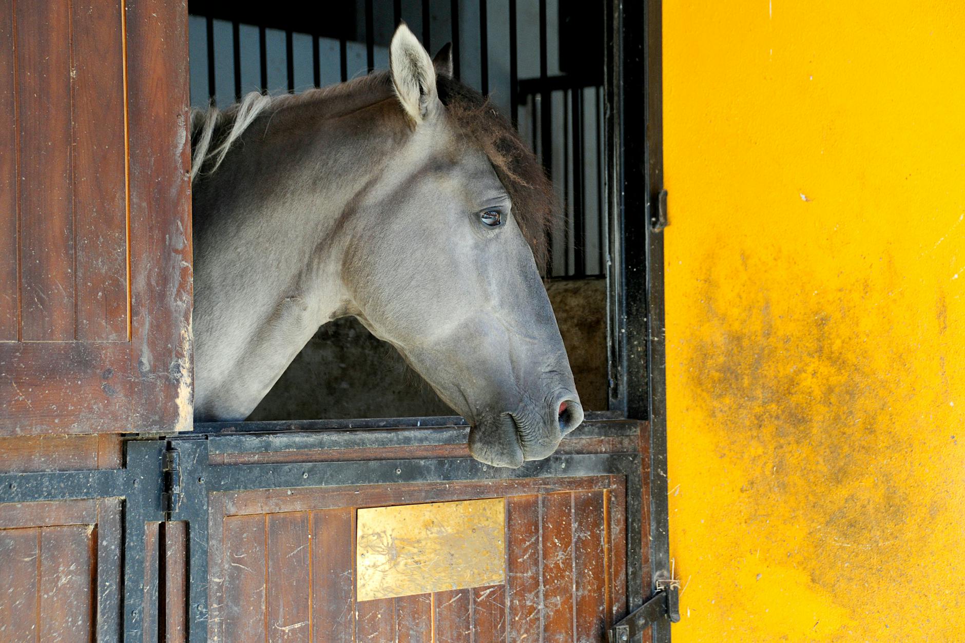Detailansicht: Alkoholismus Alter Hilfe
