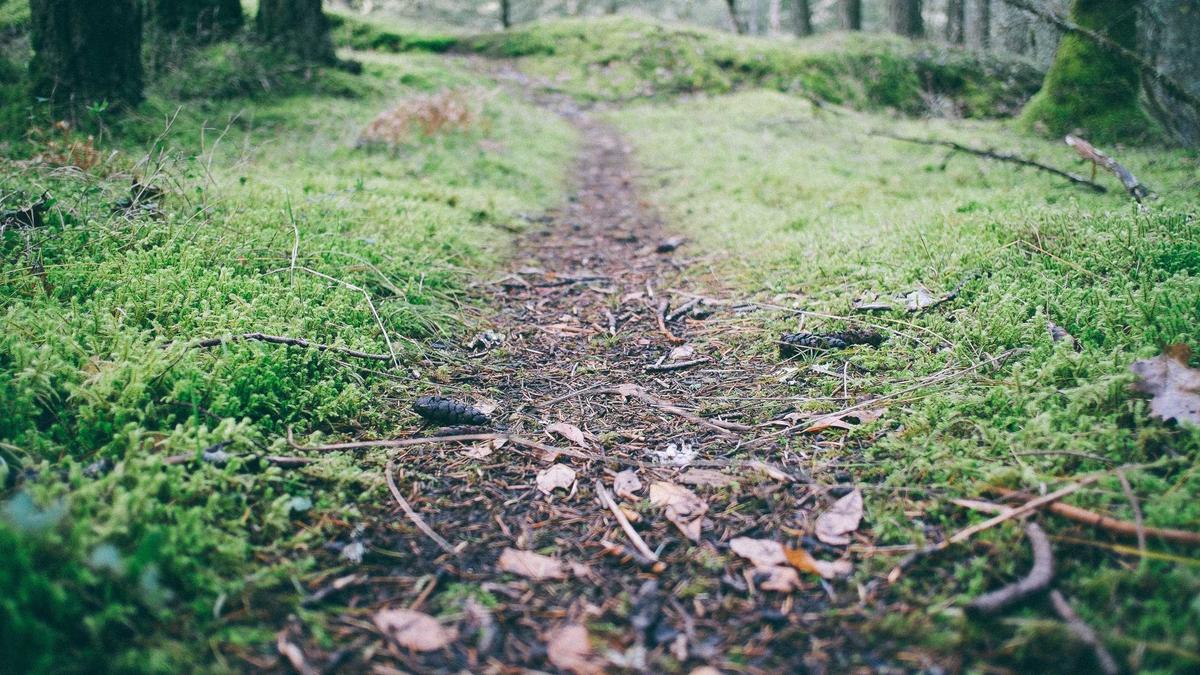 Amazon Sci-fi Serie Symbolbild zum Thema Amazon Sci-fi Serie