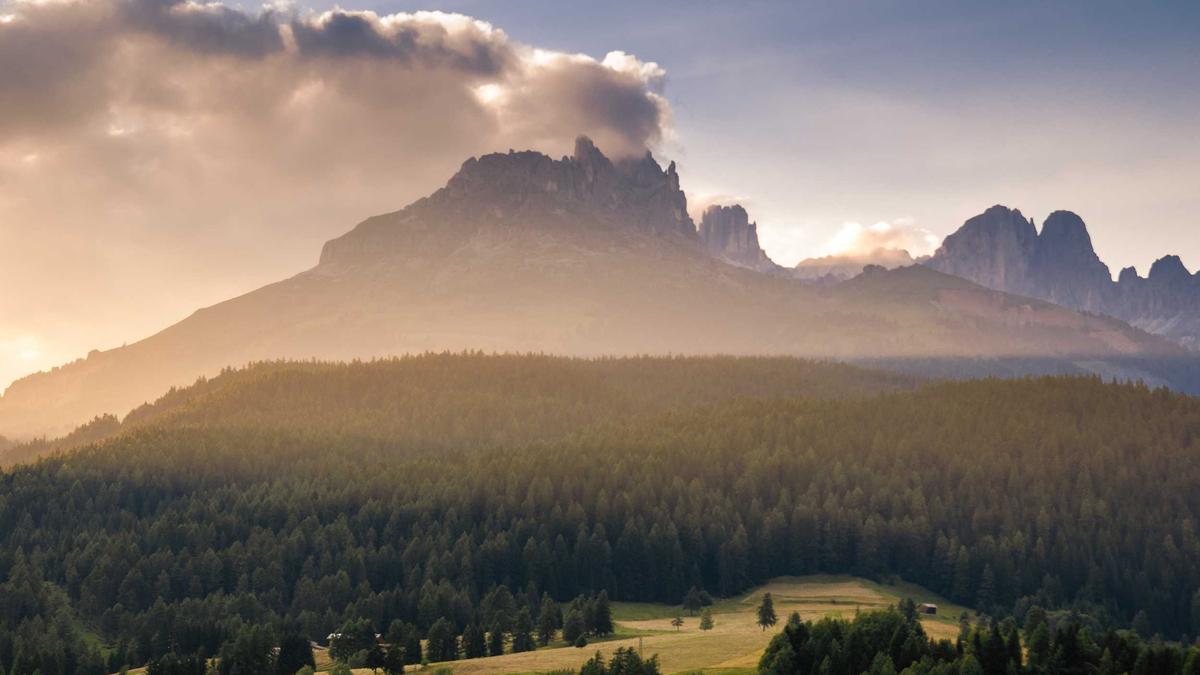 Amber Glenn Partner Illustration zu Amber Glenn Partner