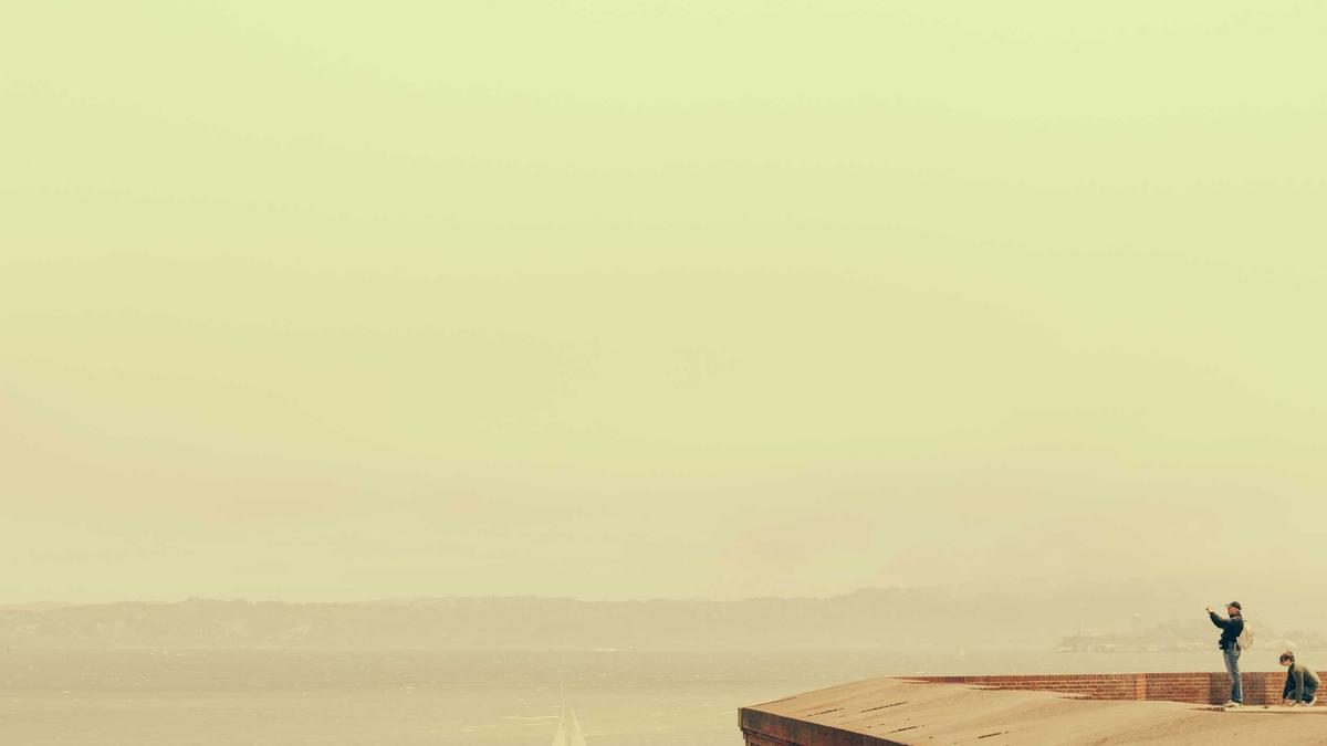 Detailansicht: Anastasia Vaipan-law