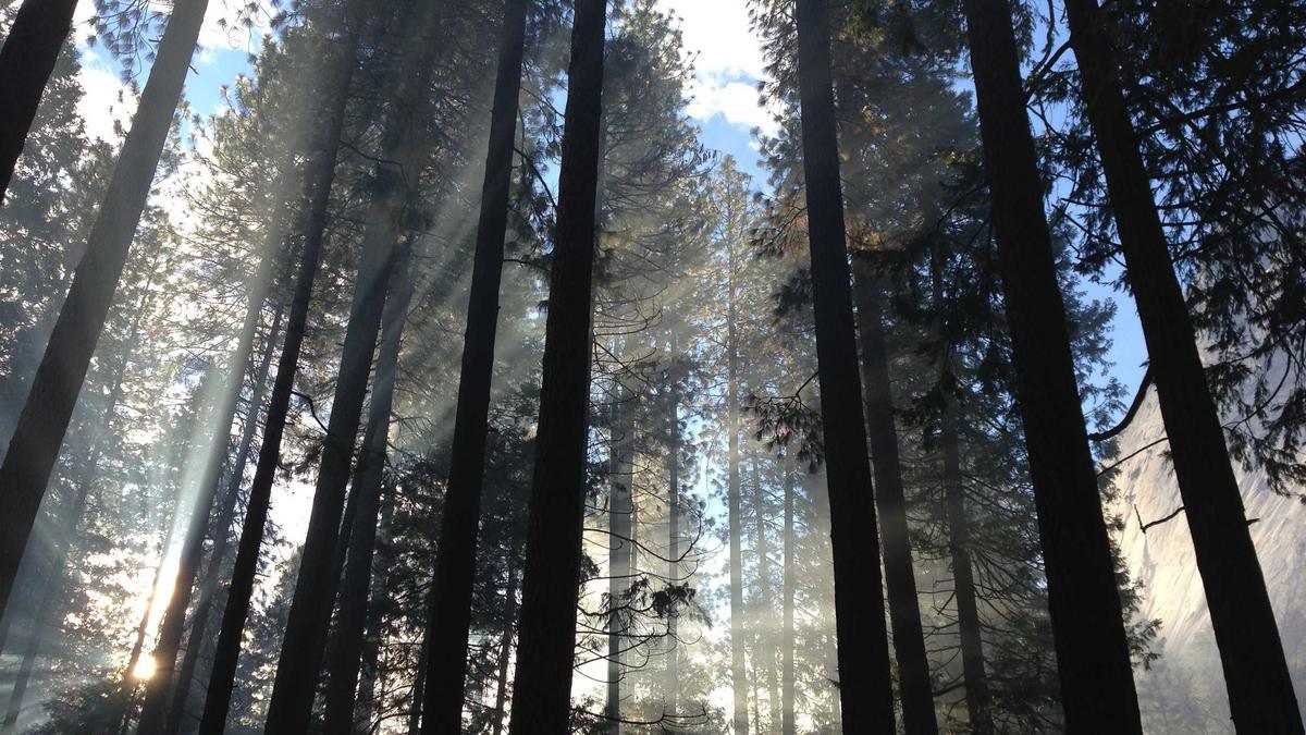 Anne Hathaway Neuer Film Detailansicht: Anne Hathaway Neuer Film