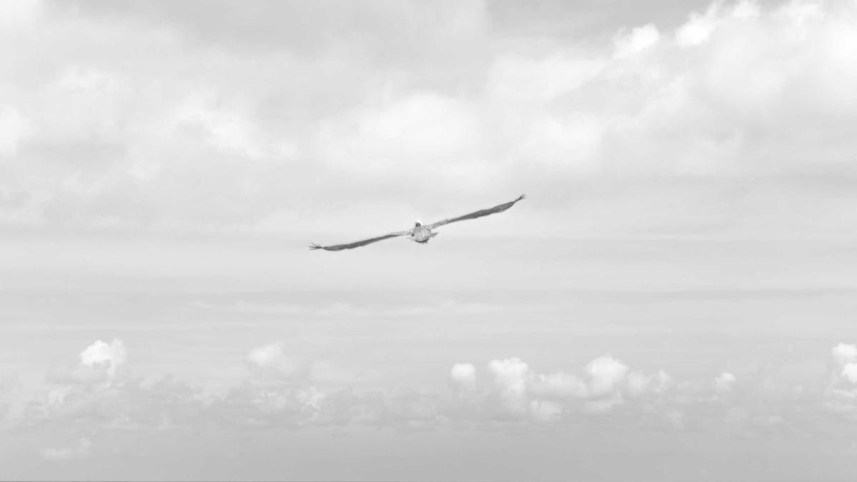 Anthropic Gegen Openai Anthropic Gegen Openai