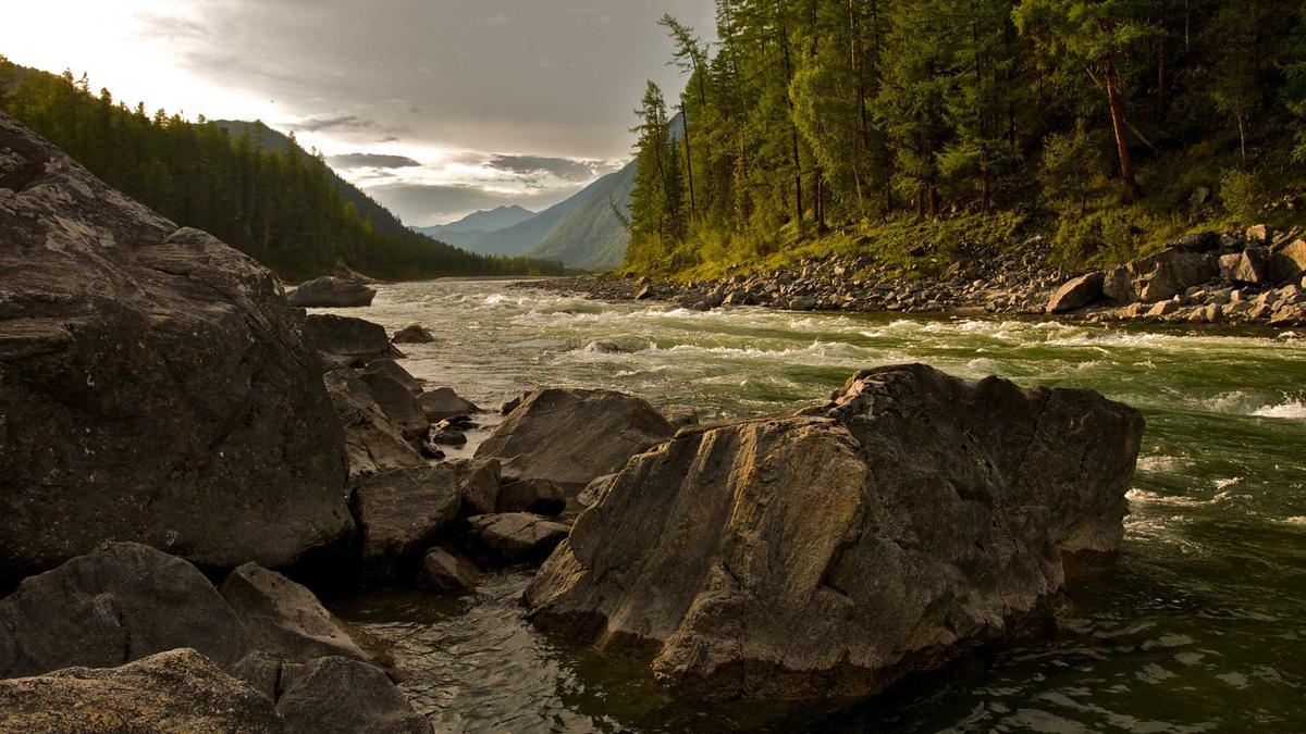 Illustration zu Apple Home Produkte