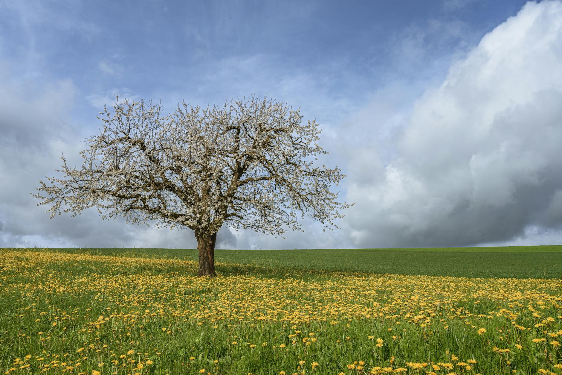 Detailansicht: Aprilwetter