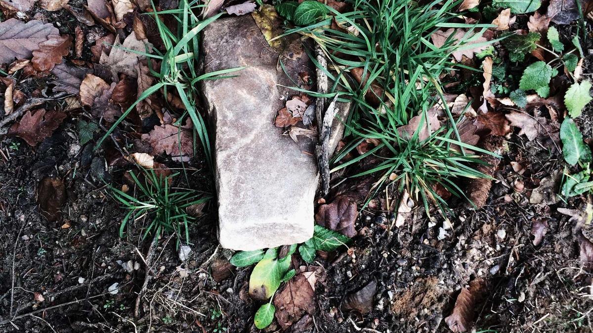 Aptamil Rückruf Aptamil Rückruf