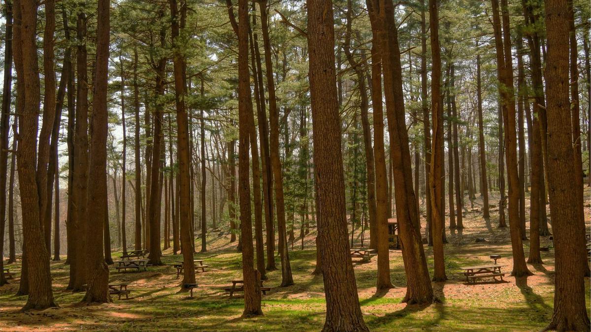 Aston Villa – West Ham Detailansicht: Aston Villa – West Ham