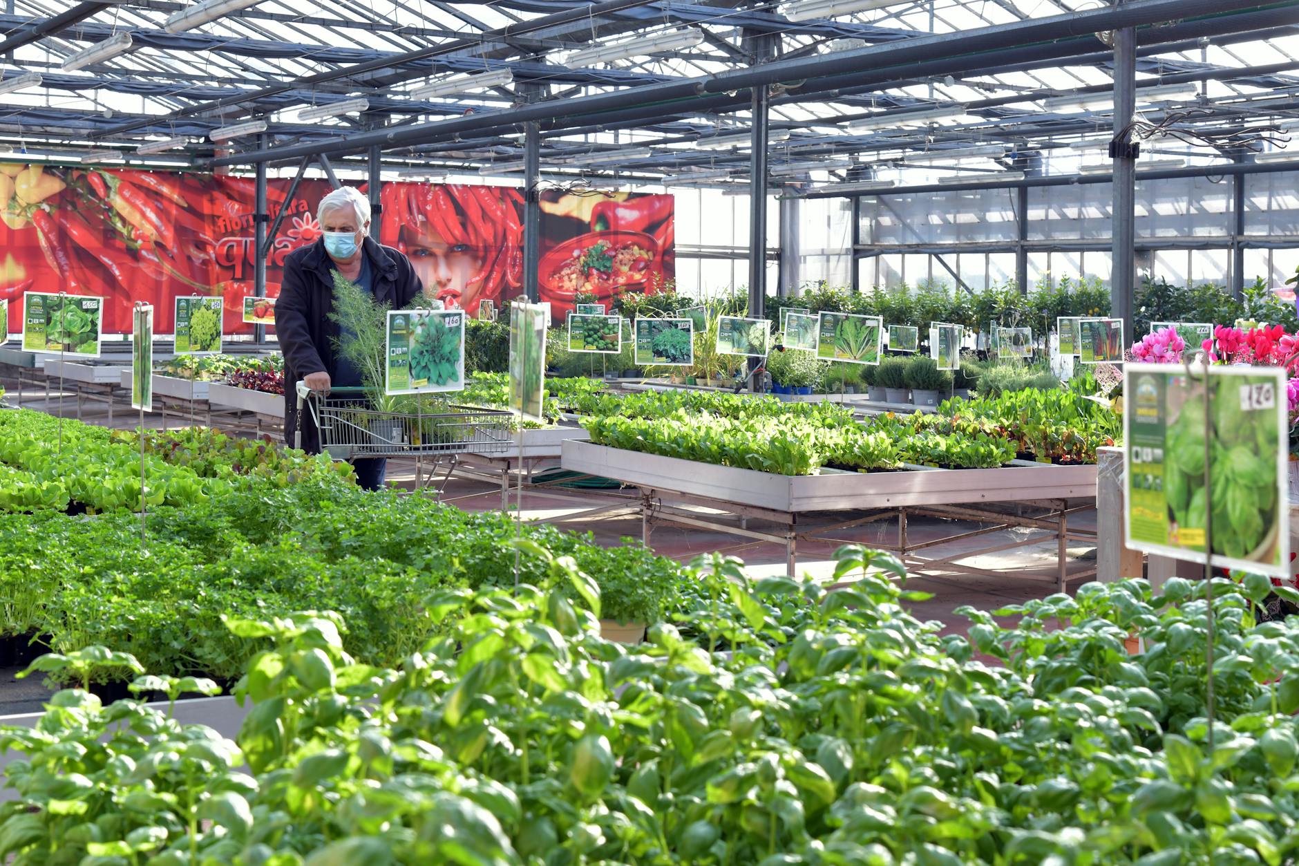 Detailansicht: Ausgaben Lebensmittel Haushalt