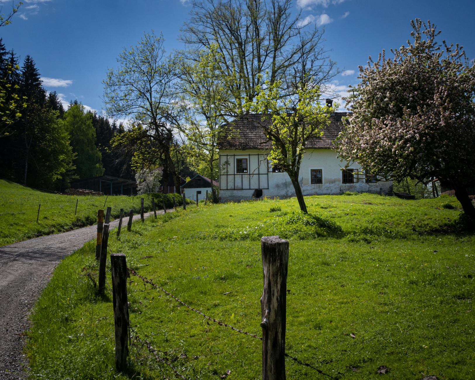 Illustration zu Austria Klagenfurt – Fac