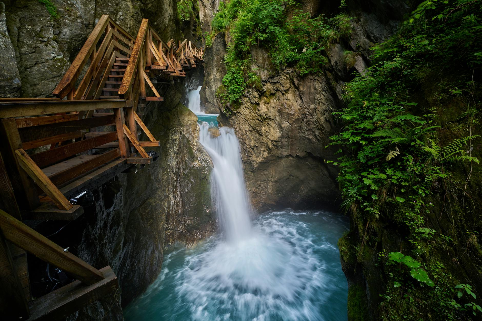 Illustration zu Austria Rapid