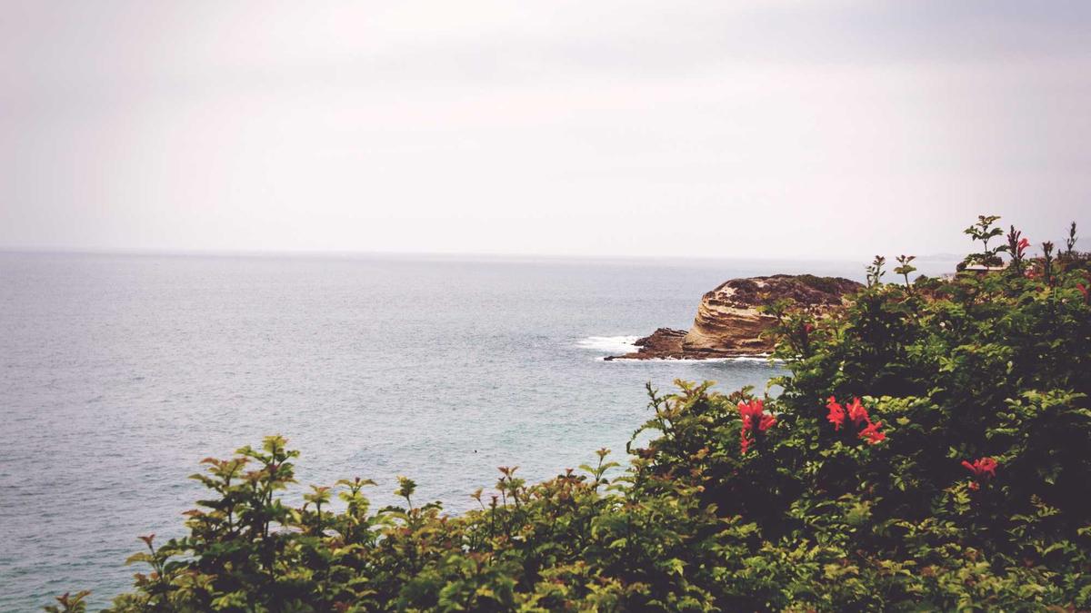 Detailansicht: Autobrand Wiesloch